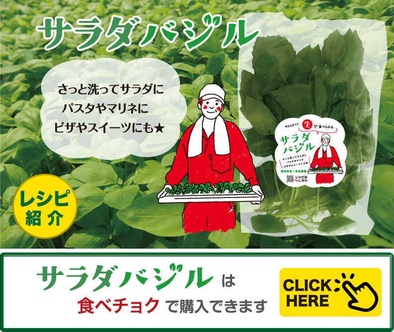 サラダバジル